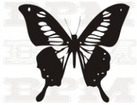 /album/fotogaleria-hmyz/hmyz-3-jpg/